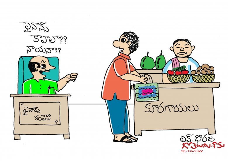 Finance to purchase Vegetables